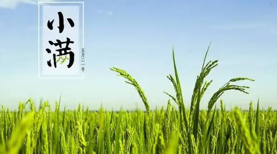 小滿時(shí)節(jié)！金環(huán)電器提醒大家要注意的事項(xiàng)
