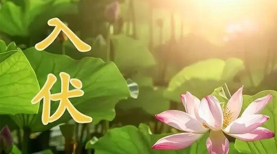 入伏天來襲！金環(huán)電器提醒大家要注意的事項