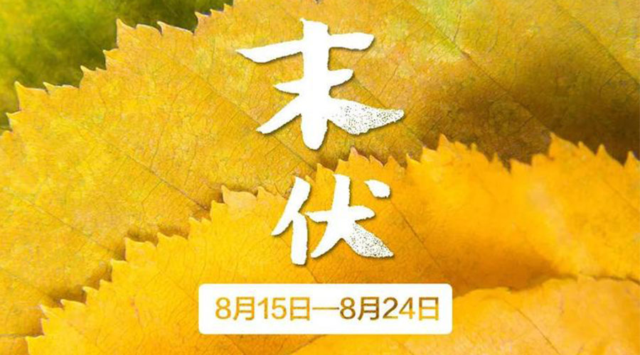 末伏時節(jié)！金環(huán)電器提醒你謹(jǐn)記這些注意事項