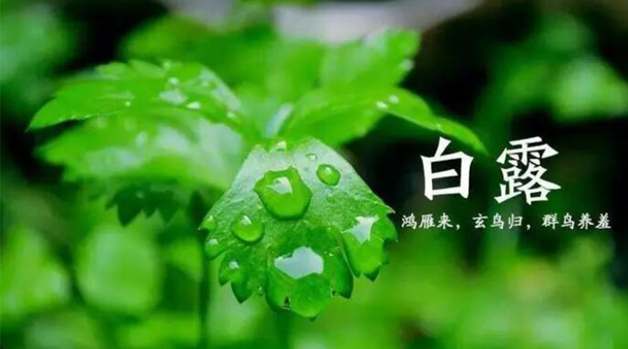 白露時(shí)節(jié)！金環(huán)電器提醒大家要注意的事項(xiàng)